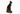 Black basset Egyptian cat statue on white background