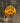 Votes for Women Button