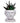 Edgar Allan Poe Mini Planter