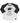 Albert Einstein Youth Raglan Tee